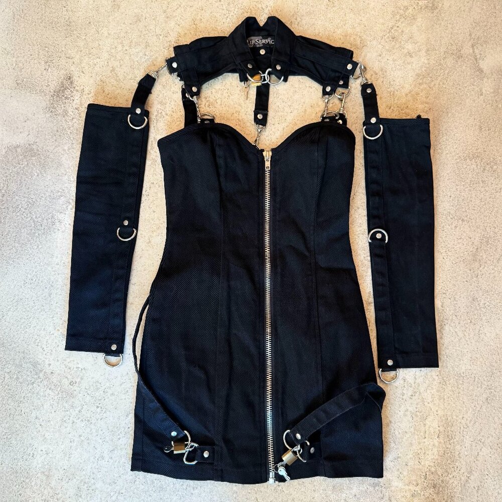 Vintage Lip Service Institutionalized Dress